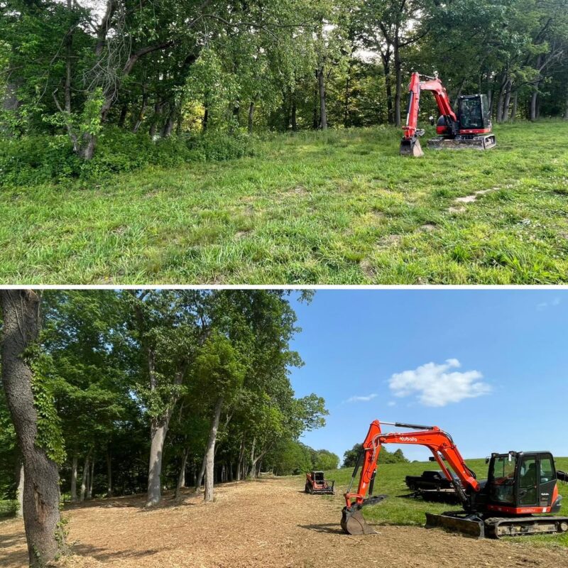 Land Clearing Dundee Farm LLC
